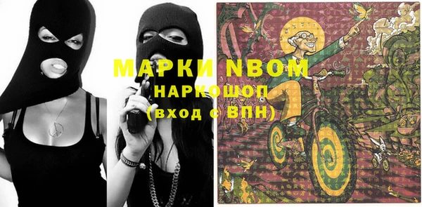 твердый Дмитровск