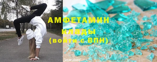 твердый Дмитровск