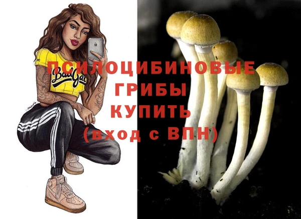 героин Дмитриев