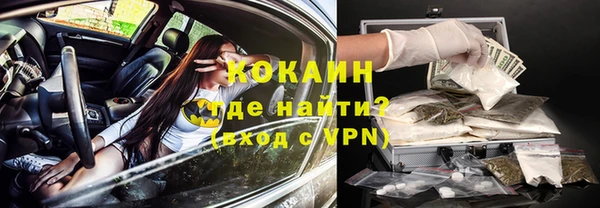 твердый Дмитровск