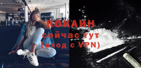 твердый Дмитровск