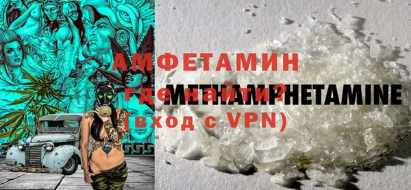 твердый Дмитровск