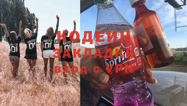 твердый Дмитровск